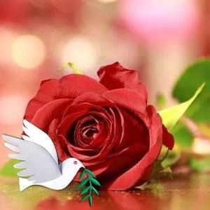 Meet your Posher, Lupe